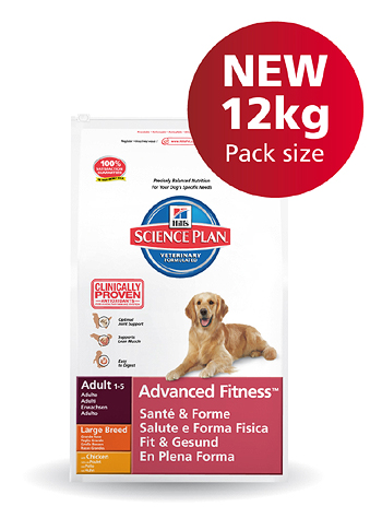 12kg Bag with flash